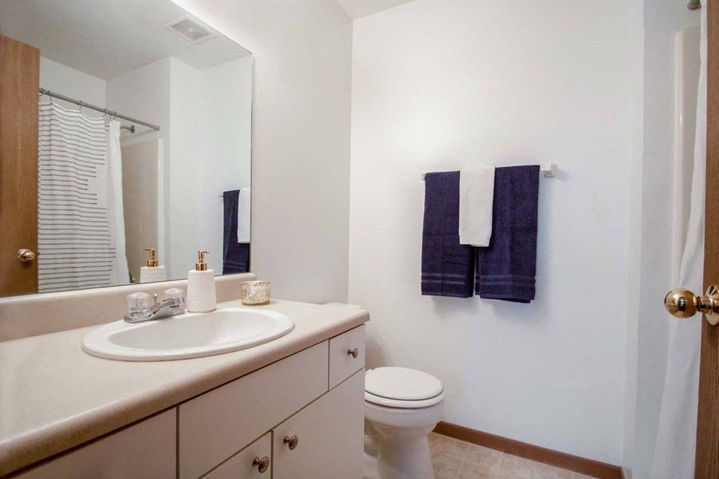 Flatwater Apartments, 9825 Centennial Plaza 16, La Vista, NE RentCafe